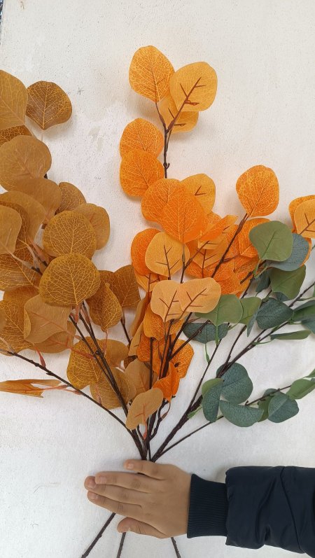 عرق زعتر ورقه كبيرة 5 الوان