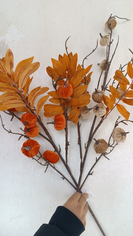 عرق ورقه زيتون ملون مع قرع مخمل  طويل