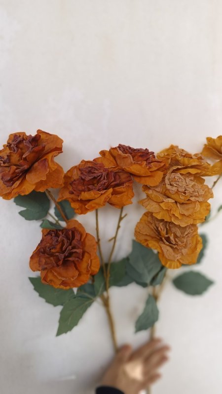 عرق جوري كبير ترابي لون بني عسلي