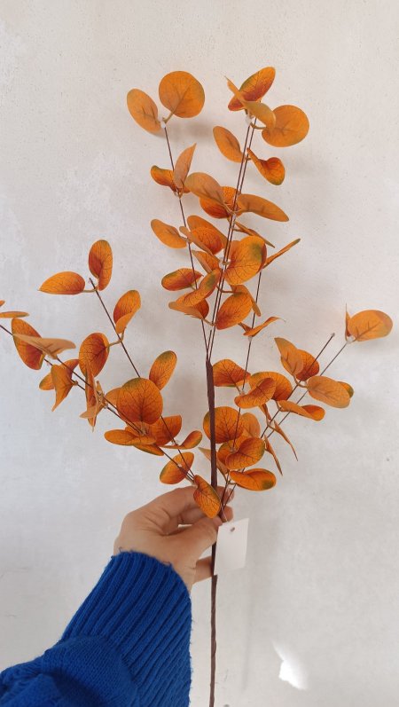 عرق ورق الزعتر لون اورنج خريفي