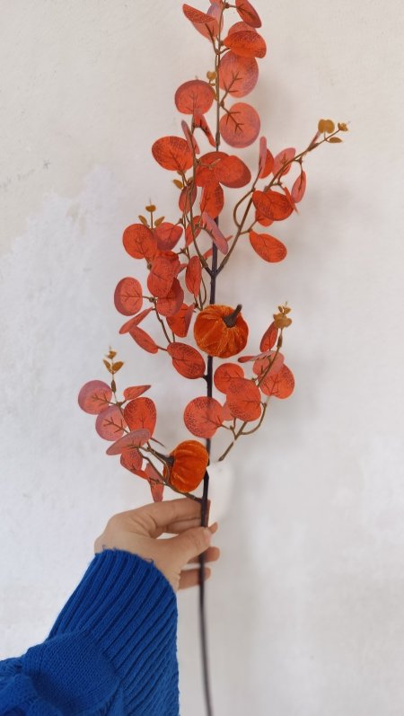 عرق زعتر مع  قرع وسط برتقالي ناري