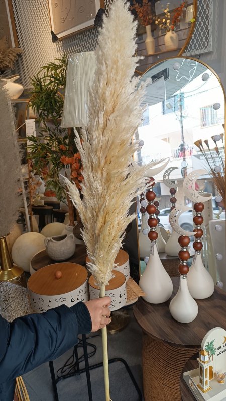 عرق بامباس طويل بيجي كثيف 2026