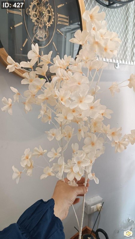 عرق لوز لون ابيض مشمشي/اورنج ساق ابيض