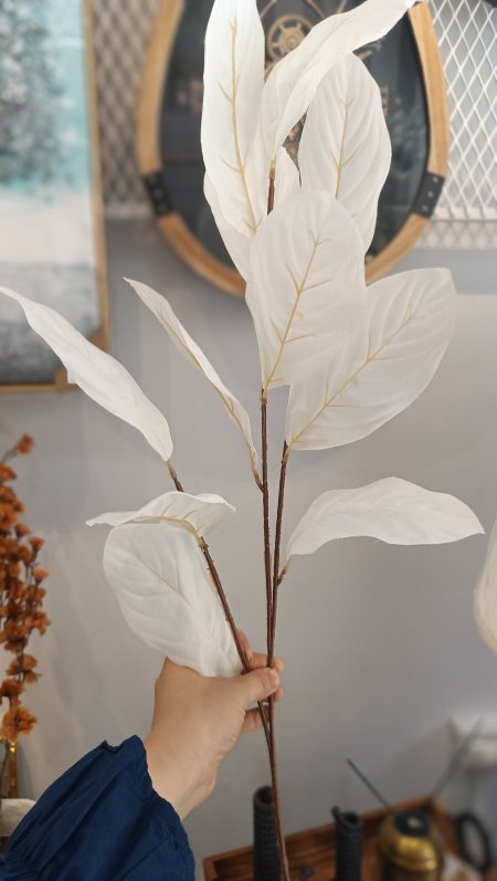 عرق ورد خريفي ابيض طويل