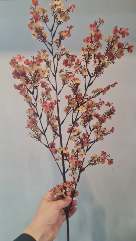 عرق لوز بني نود بيج