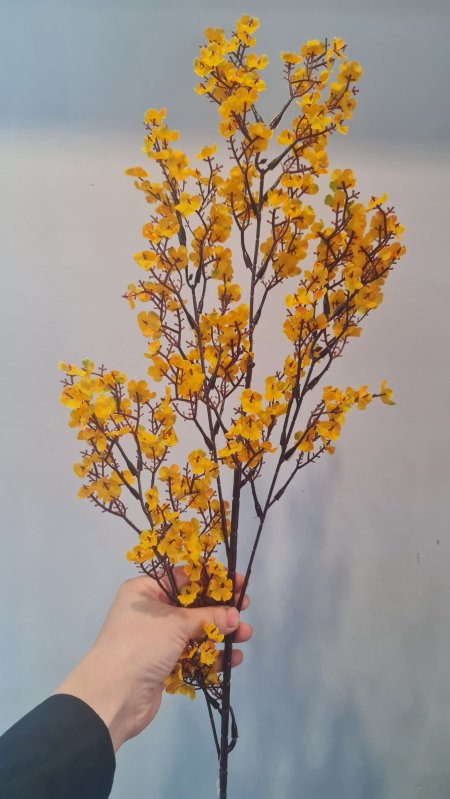 عرق ورد كموني طويل