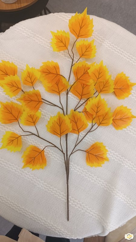 ارونج مع حواف اصفر