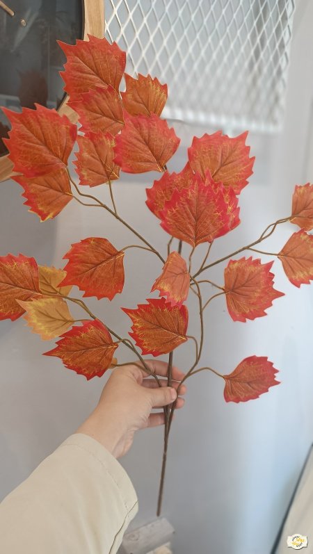 برتقالي حواف احمر