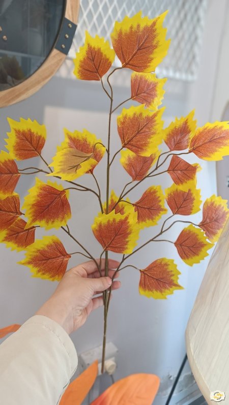 بني حواف اصفر