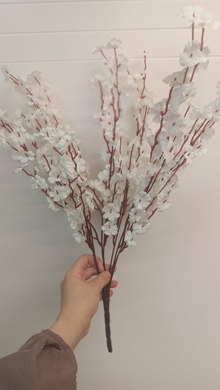 ضمة ياسمين ابيض