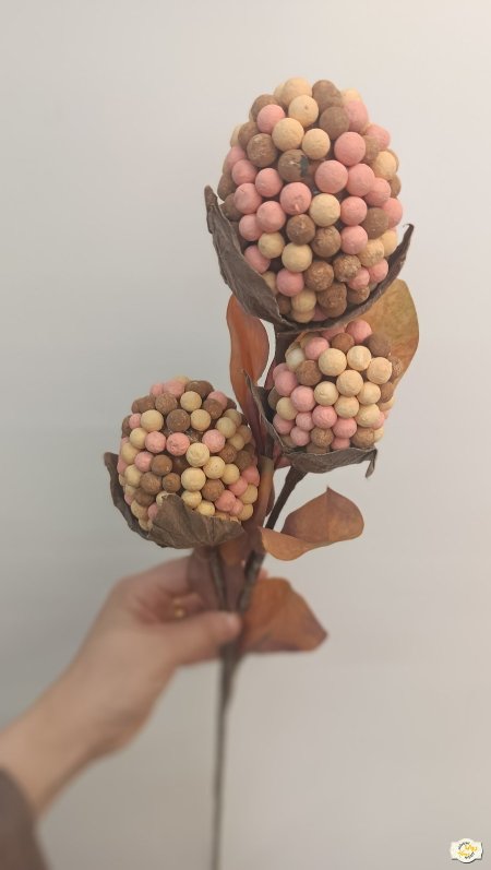 بني مع اورنج