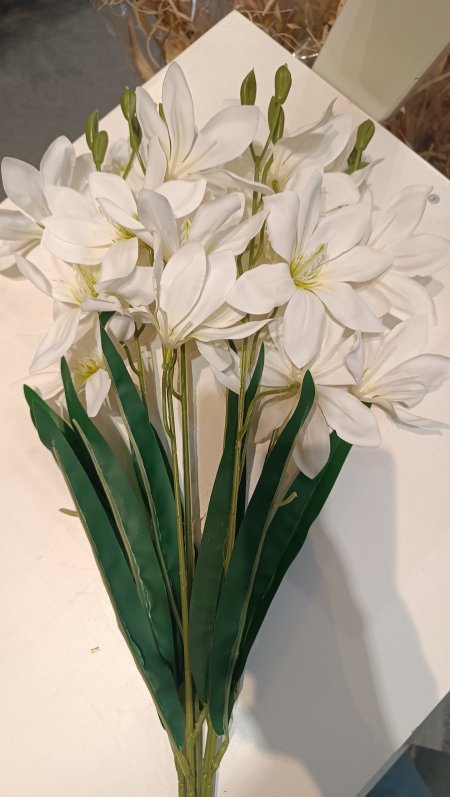 ضمة ورد ابيض