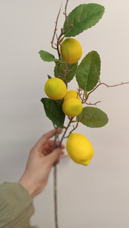 عرق ليمون خامة مميزة